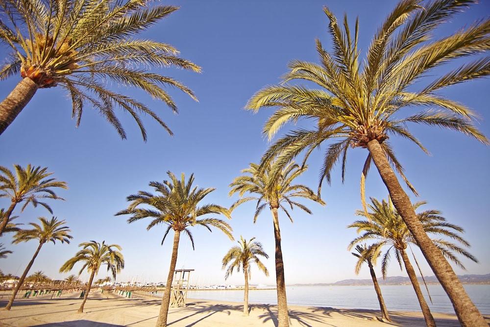 Sahara Nubia Gobi Hotel Ses Cadenes Luaran gambar Palma de Mallorca