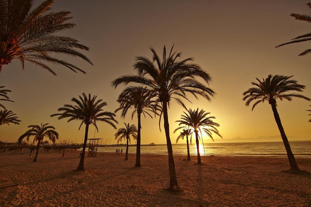 Sahara Nubia Gobi Hotel Ses Cadenes Luaran gambar Palm trees on the beach at sunset